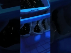 1000Pcs PE Cable Tie Accessories 1/2 Inch Plastic R Type Clip Clamp